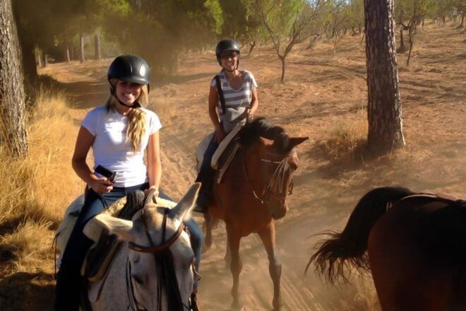 Seville: Doñana National Park Full-Day Tour - Customer Positive Feedback