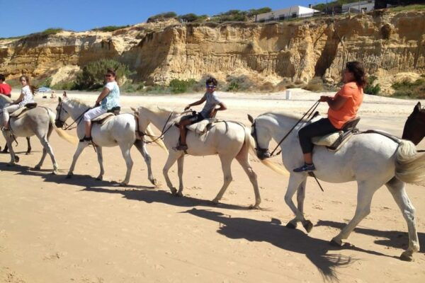 Seville: Doñana National Park Full-Day Tour - Price, Duration, and Group Size