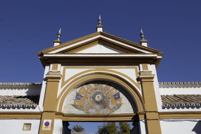 Seville: Dueñas Palace Private Tour - Accessibility and Inclusions