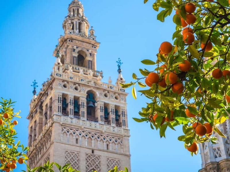 Seville: Dutch Highlights (E-)Bike Tour with a Small Group - Good To Know