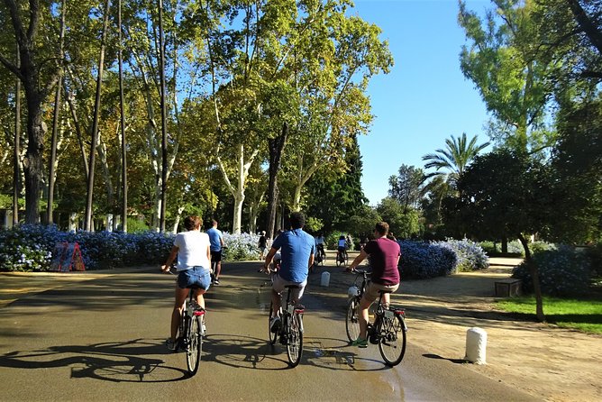 Seville Electric Bike Small Group Tour - Cancellation Policy