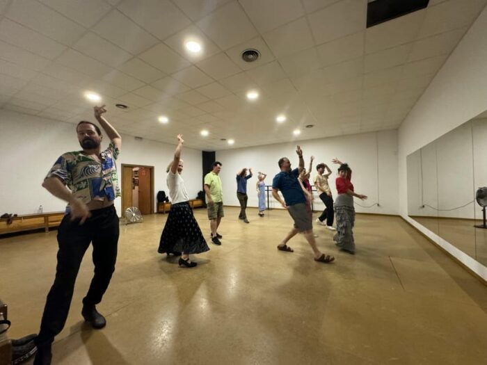 Seville: Enjoy a Class of Approach to Flamenco - The Art of Flamenco