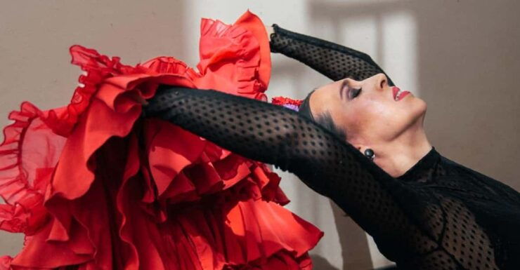 Seville: Enjoy a Class of Approach to Flamenco - Learning Flamenco Firsthand
