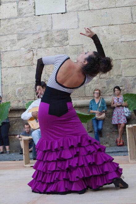Seville: Enjoy a Class of Approach to Flamenco - Significance of Flamenco Elements