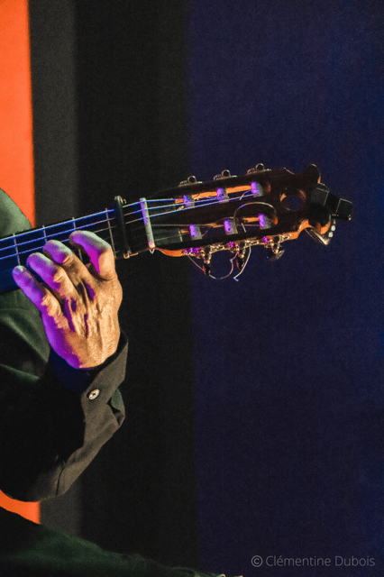 Seville: Flamenco Show at Tablao Álvarez Quintero - Musical Elements of the Show