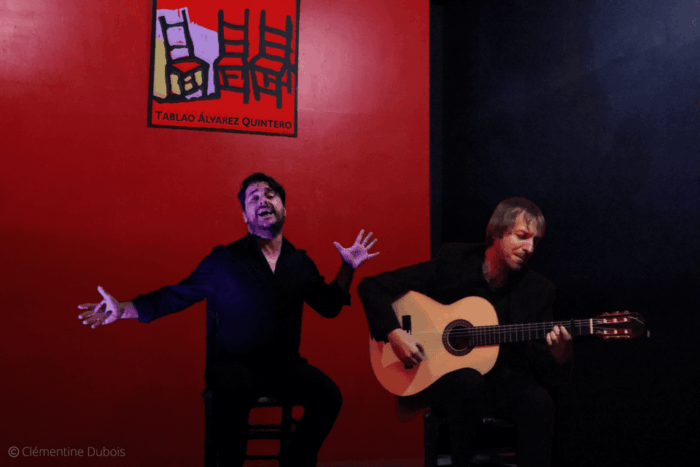 Seville: Flamenco Show at Tablao Álvarez Quintero - Accessibility and Language Options