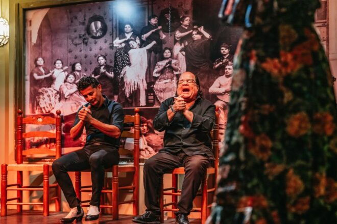 Seville: Flamenco Show With Andalusian Dinner at La Cantaora - Additional Information