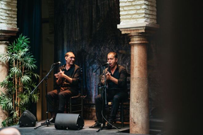 Seville: Flamenco Show With Optional Flamenco Museum Ticket - Flamenco Dance Museum Experience