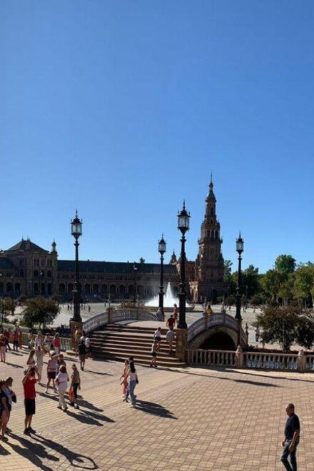 Seville From the Costa Del Sol - Inclusions
