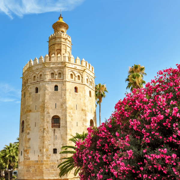 Seville From the Costa Del Sol - Pickup and Drop-off Locations