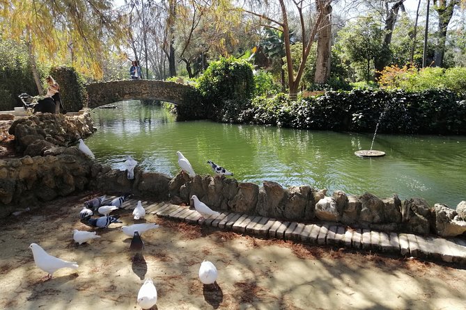 Seville Full Day Tour - Cancellation Policy