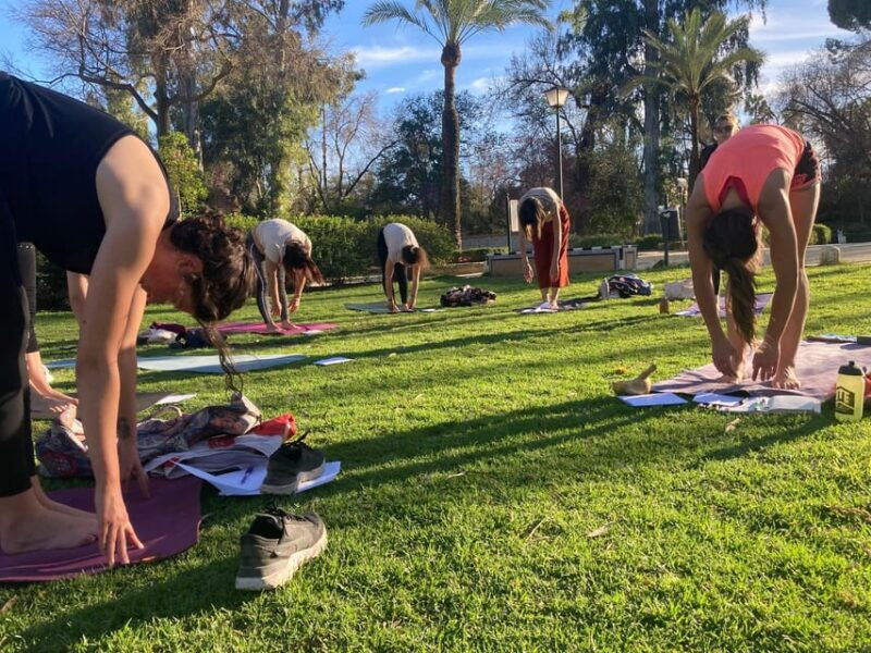 Seville: Group Yoga Classes All Levels - in French - Class Schedule and Location