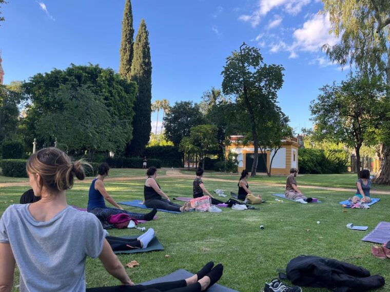 Seville: Group Yoga Classes All Levels - in French - Instructor Qualifications and Language Abilities