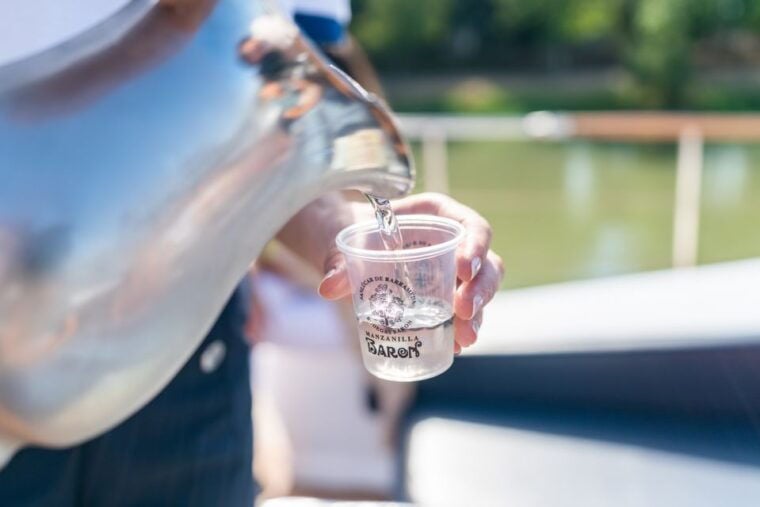 Seville: Guadalquivir Boat Tour With Optional Lunch/Dinner - Accessibility and Restrictions