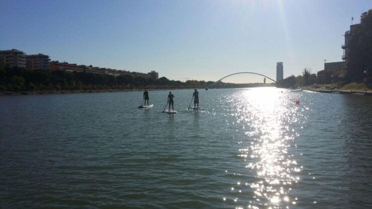 Seville: Guided Paddle Surf Tour - Good To Know