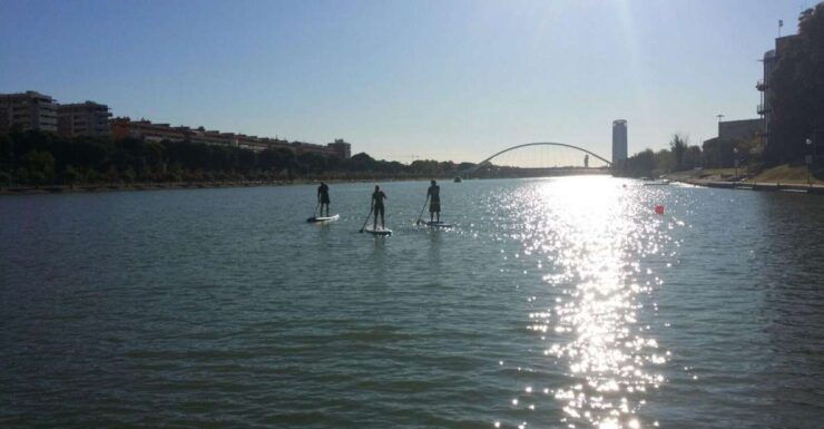 Seville: Guided Paddle Surf Tour - Tour Highlights