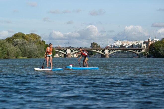 Seville: Guided Paddle Surf Tour - Instructor Information