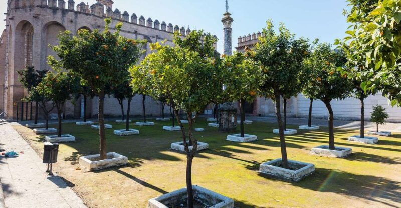 Seville: Guided Tour of San Isidoro Del Campo Monastery - Good To Know