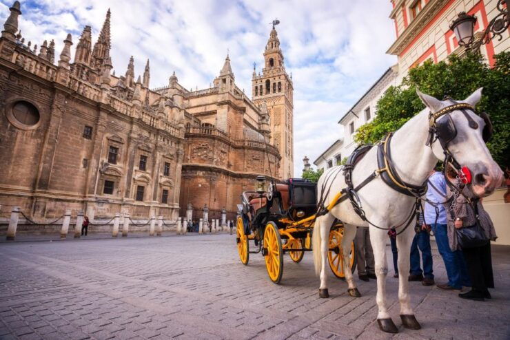 Seville: Guided Tour to the Royal Alcazar & Cathedral - Experience Highlights