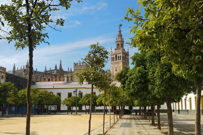 Seville Highlights Private Walking Tour - Major Monuments and Locations