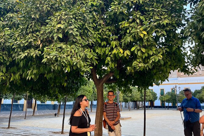 Seville Highlights Private Walking Tour - Highlights of the Tour