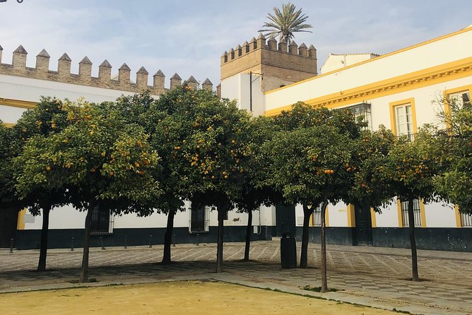 Seville Highlights Private Walking Tour - Common Questions