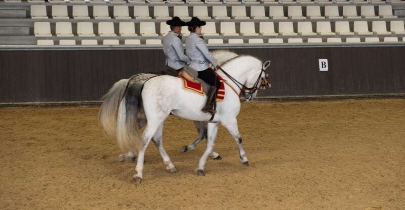 Seville: Horses Show Entry Ticket. Optional Stud Farm Visit - Experience Options