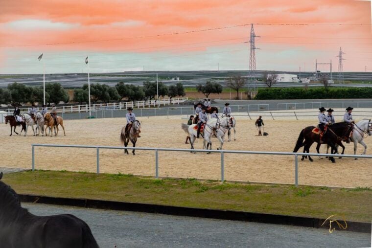 Seville: Horses Show Entry Ticket. Optional Stud Farm Visit - Duration and Guided Tour
