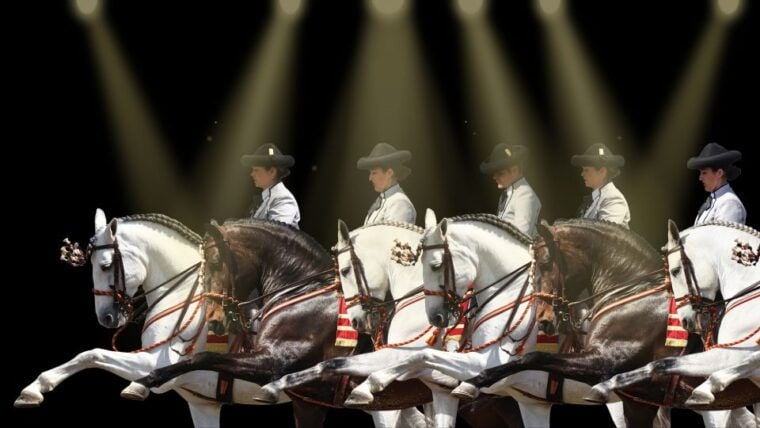 Seville: Horses Show Entry Ticket. Optional Stud Farm Visit - Location and Meeting Point