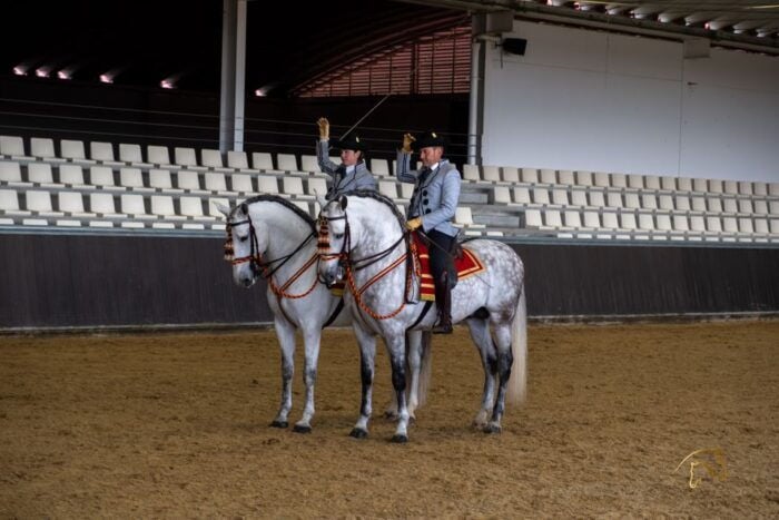Seville: Horses Show Entry Ticket. Optional Stud Farm Visit - Customer Feedback and Ratings