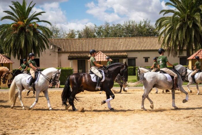 Seville: Horses Show Entry Ticket. Optional Stud Farm Visit - Practical Information