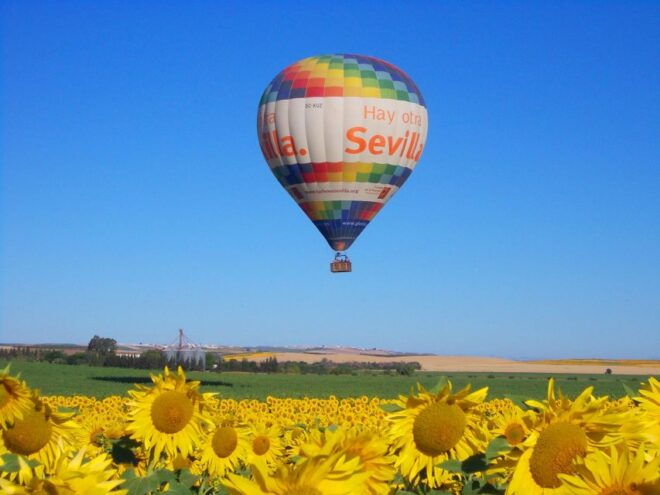 Seville: Hot Air Balloon Ride With Free Buffet Brunch & Cava - Inclusions and Restrictions