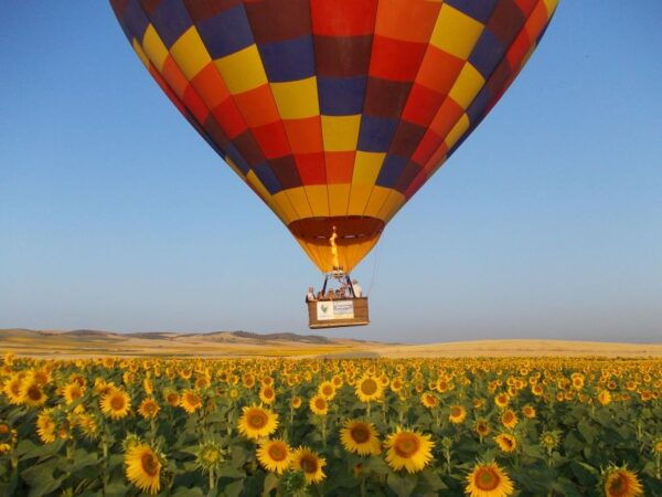 Seville: Hot Air Balloon Ride With Free Buffet Brunch & Cava - Booking Information and Directions