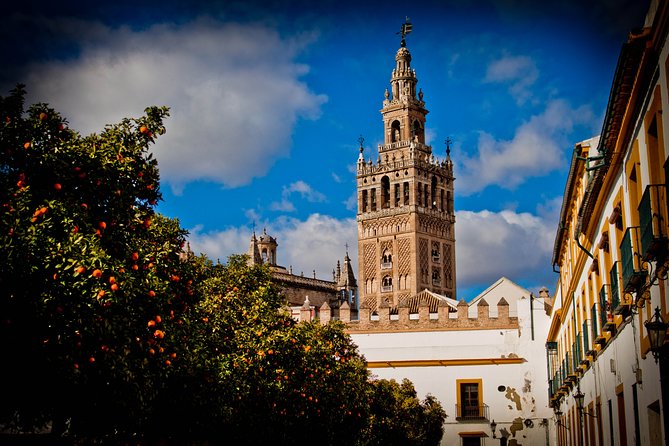 Seville in a Day: Private Tour Vip - Departure and Meeting Point