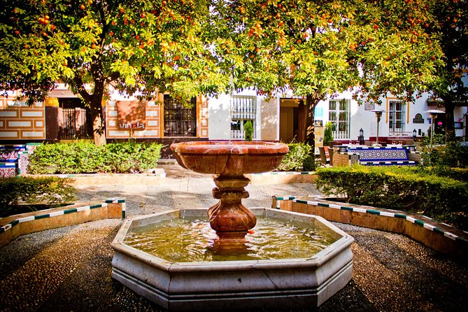 Seville in a Day: Private Tour Vip - Pricing and Booking Information