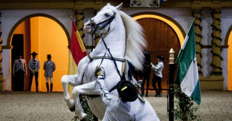 Seville: Jerez and Cadiz Wine Tasting & Horse Show Day Trip - Highlights of the Tour