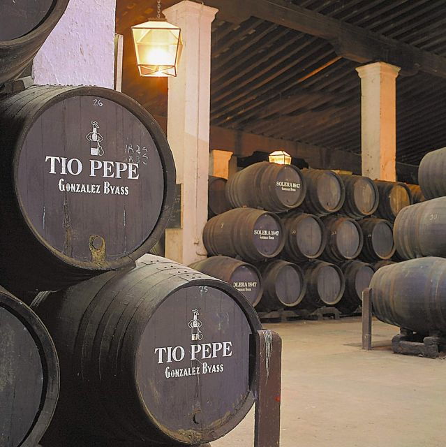 Seville: Jerez, Cadiz Wine Tasting With Optional Horse Show - Wine Tasting Experience