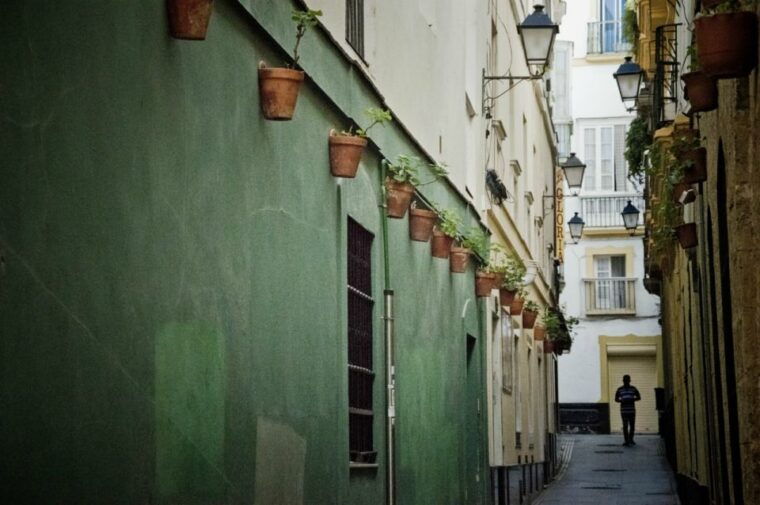 Seville: Jerez, Cadiz Wine Tasting With Optional Horse Show - Equestrian Show