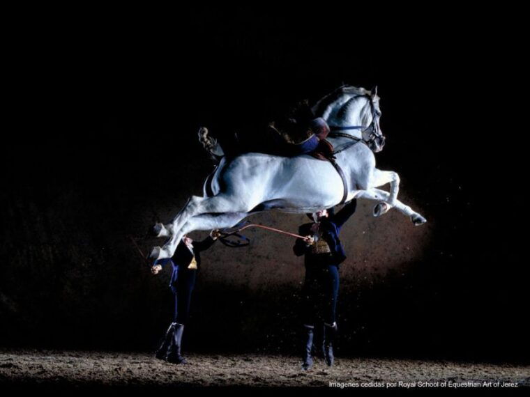 Seville: Jerez, Cadiz Wine Tasting With Optional Horse Show - Customer Feedback
