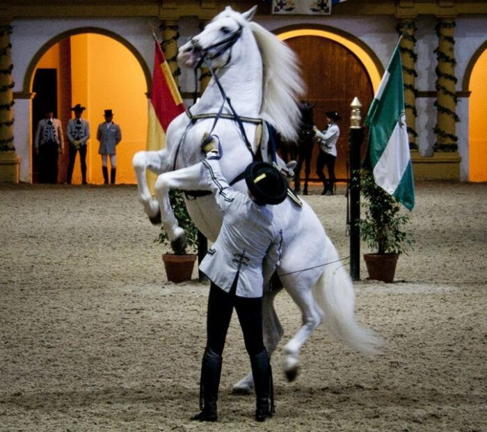 Seville: Jerez, Cadiz Wine Tasting With Optional Horse Show - Transportation Details
