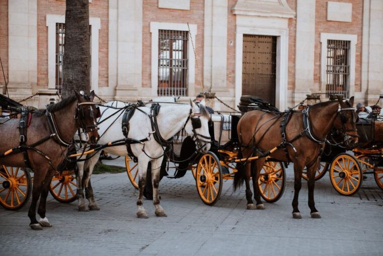 Seville Jewish Quarter Walking Tour: Santa Cruz District - Optional Flamenco Show Experience