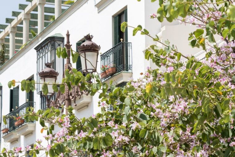 Seville Jewish Quarter Walking Tour: Santa Cruz District - What to Expect During the Tour