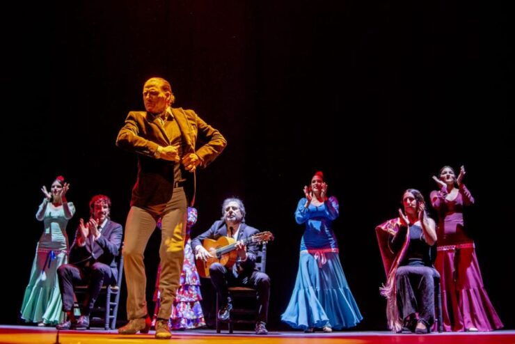 Seville: Live Flamenco Dancing Show Ticket at the Theater - Ticket Details
