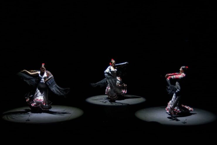 Seville: Live Flamenco Dancing Show Ticket at the Theater - Experience Highlights