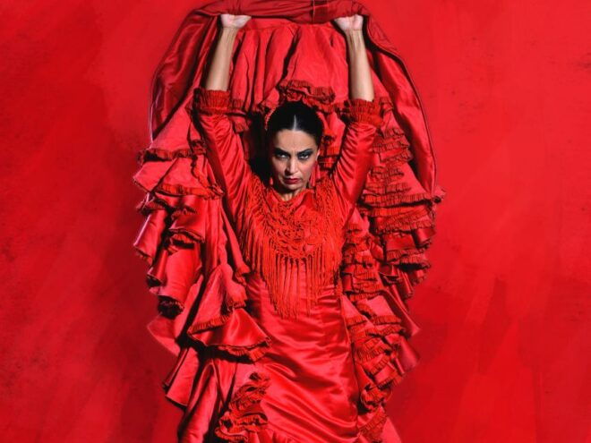 Seville: Live Flamenco Dancing Show Ticket at the Theater - Full Description