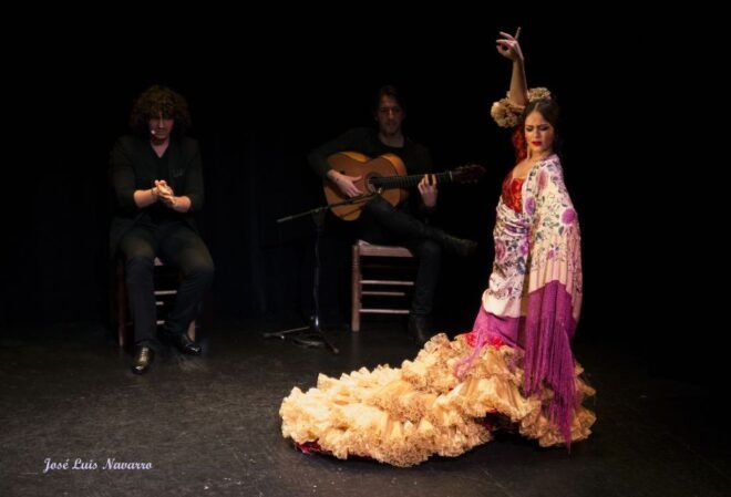 Seville: Live Flamenco Show at "Teatro Flamenco Triana" - Additional Information: Location, Accessibility, and Show Ratings