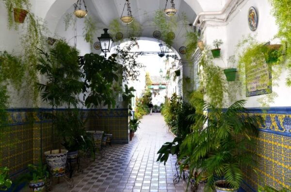 Seville: Off the Beaten Path & Market Walking Tour - Frequently Asked Questions