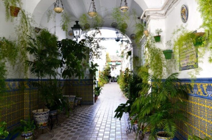 Seville: Off the Beaten Path & Market Walking Tour - Experience Highlights