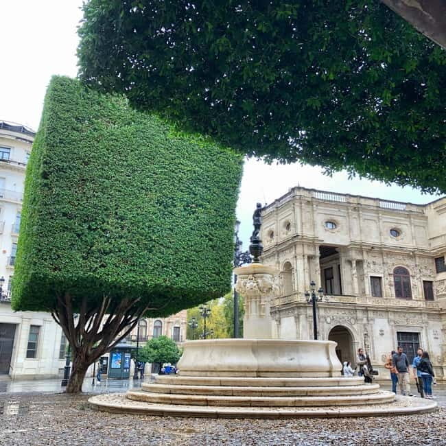 Seville Orientation Private Tour for New Visitors - What to Expect from the Seville Orientation Tour