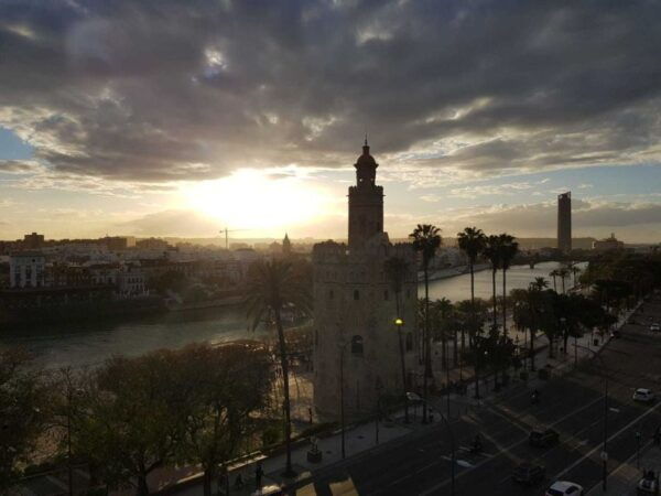 Seville: Paella Cooking Experience on a Rooftop Terrace - Tips and Recommendations